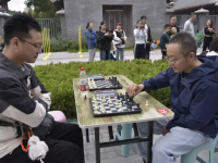 德信竞技观察：300余名选手齐聚邯郸古城 ，智力运动融入历史文化街区