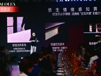 破局与创新：从25设计周看SALOLEA战略蓝图